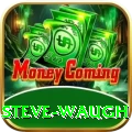 steve waugh Pro Max v1.8.0