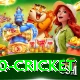 t20 cricket Pro Edition v3.4.4