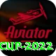 t20 world cup 2022 Master v1.8.3