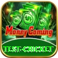 test cricket Gold v1.8.9