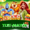 test match Elite v3.0.9