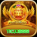 tiger888 Elite v3.8.8