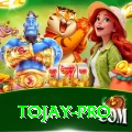 tojay Premium v3.8.9