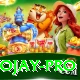 tojay Premium v3.8.9
