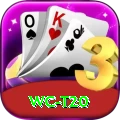wc t20 Pro Max v3.7.6
