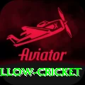 willow cricket Deluxe v1.8.8