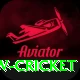 willow cricket Deluxe v1.8.8