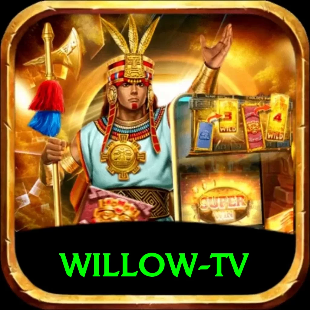 willow tv Pro Edition v4.0.0 - 2