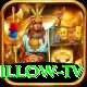 willow tv Pro Edition v4.0.0